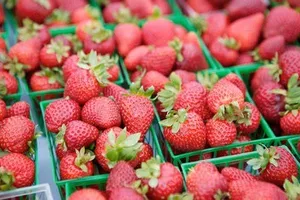 Mẹo bảo quản thực phẩm không cần tủ lạnh