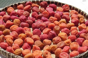 10 loại thực phẩm tốt cho đường ruột