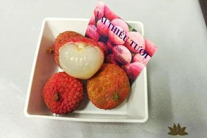 Vietnam Airlines đưa vải thiều tươi vào thực đơn món tráng miệng