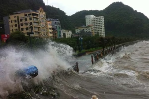 Một ngư dân bị gió lớn quật bất tỉnh tại Bạch Long Vĩ