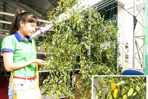 'Hàng độc' tại hội chợ triển lãm giống nông nghiệp