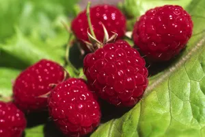 10 loại rau quả giúp ích nhất cho việc giảm cân