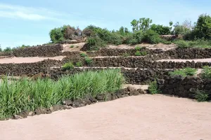 Hút hồn vẻ đẹp ruộng bậc thang giữa biển Đông