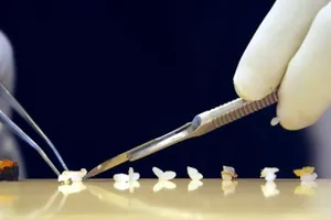 Kiểm tra tay nghề sinh viên y khoa bằng cuộc thi xếp giấy origami