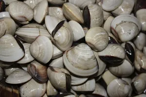 Bị vu oan làm hỏng nghêu, phụ bếp chém quản lý 