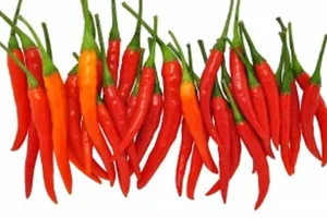 Ăn càng cay, sống càng lâu