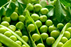 9 thực phẩm phản tác dụng nếu ăn quá nhiều