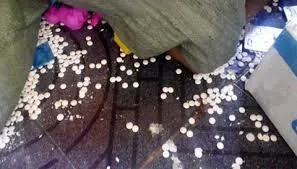 Ai có quyền khóa, niêm phong công ty thực phẩm chức năng ‘bẩn’?