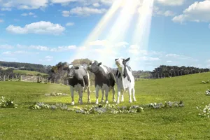 Thoái toàn bộ vốn nhà nước tại Vinamilk