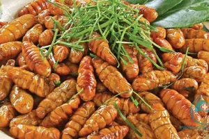 Những sai lầm cần tuyệt đối tránh khi ăn nhộng tằm