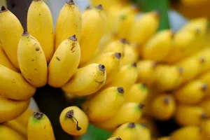 5 loại thực phẩm bổ sung năng lượng nhanh chóng