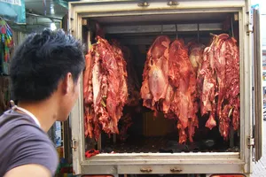 Ngăn chặn gần một tấn thịt và phụ phẩm bò bơm nước trước khi vào chợ