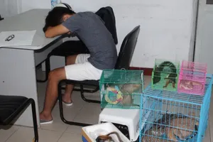 Chủ ‘Vương quốc thú cưng’ ở Sài Gòn bị bắt quả tang