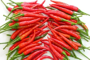 Người bị yếu sinh lý nên kiêng ăn gì?