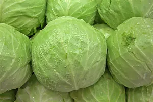 10 thực phẩm giảm cân tốt nhất trong mùa đông