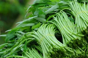 Phát hiện rau muống ngâm hóa chất để tươi xanh