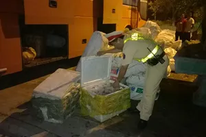 Cuối năm, xe chở thịt thối thi nhau tung hoành