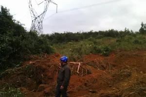 Liều lĩnh trộm diệp thạch sét trong khu vực cấm của đường điện 500kv