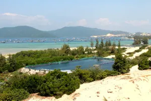 Ngắm cảnh đẹp tuyệt vời trên biển Đầm Môn 