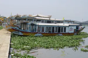 Lục bình ‘tấn công’ sông Hương