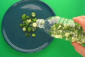 Infographic: Những loại thực phẩm hay bị bảo quản sai cách (phần 2)