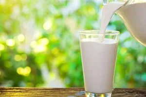 10 lý do không nên cho trẻ dưới 1 tuổi uống sữa bò