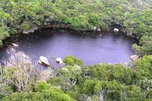 Nghi can đâm chết cán bộ Vườn quốc gia Núi Chúa ra đầu thú