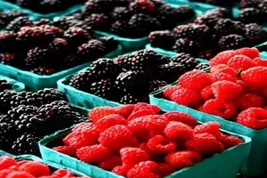 8 thực phẩm giúp cơ thể giữ đủ nước