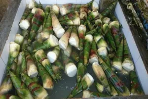 Ngâm măng trong hóa chất để ‘phục vụ’ dân TP.HCM