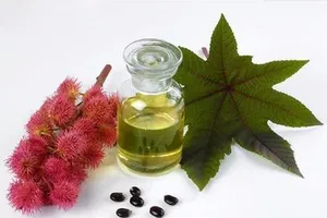 6 lợi ích của dầu thầu dầu đối với sắc đẹp