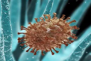 Đã khống chế được dịch cúm A/H1N1 ở Kiên Giang