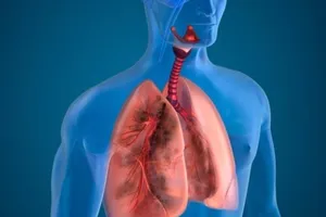 10 cách giúp thanh lọc phổi tự nhiên hiệu quả