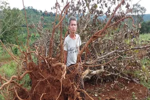 Nổ súng ở Đắk Nông: Tỉnh đã chỉ đạo xử lý nghiêm DN