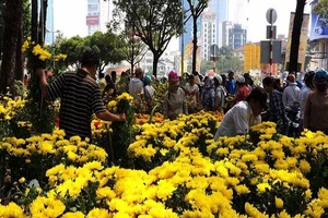 Tết nên chưng cây gì để may mắn cả năm?