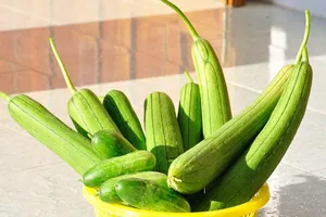 Ăn gì để nhiều sữa cho con mà mẹ không tăng cân?