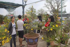 Mưa lớn, Đà Nẵng giảm 50% phí thuê mặt bằng chợ hoa