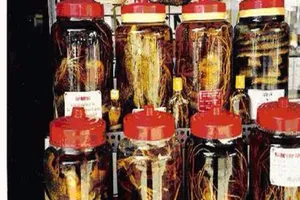 Rượu thuốc, bổ đâu chưa thấy chỉ thấy… bổ ngửa