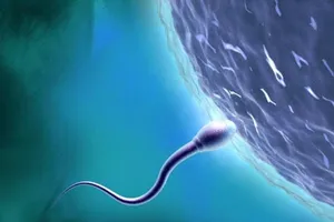 Thực hư thói quen làm đàn ông giảm khả năng sinh sản