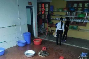 Tạm đình chỉ hiệu trưởng dốc trẻ vào máy vặt lông gà