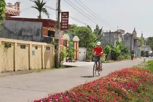 Ngỡ ngàng những con đường làng rực rỡ sắc hoa