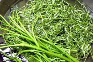 Thực hư chuyện ăn rau muống chưa chín sẽ bị xơ gan