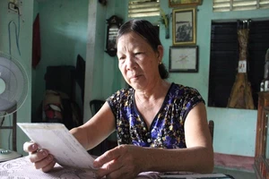 Gặp lại cô lái đò trên dòng sông Thạch Hãn