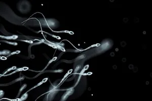 Tinh trùng đang thoái hóa với tốc độ khủng khiếp