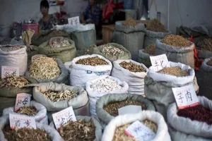 Phát hiện thuốc Bắc có liên quan đến ung thư gan