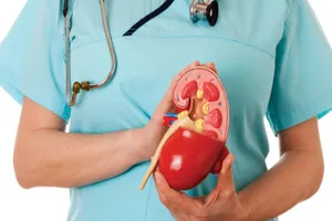 Nguyên nhân, triệu chứng và cách phòng ngừa sỏi thận