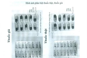 Bộ Y tế truy nguồn gốc thuốc kháng sinh Lincomycin giả 