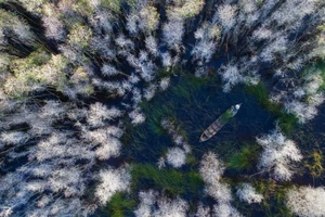 Miền sông nước Đồng Tháp “đẹp lạ” tại giải ảnh quốc tế