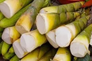 Những cách khử độc măng tươi an toàn, hiệu quả nhất