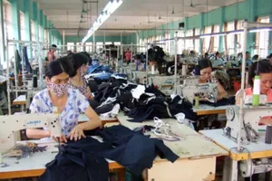 859 doanh nghiệp nợ bảo hiểm xã hội 113 tỉ đồng