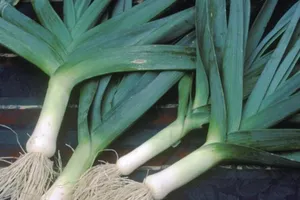 Cách trị tiểu đường cực dễ, hiệu quả không thể ngờ